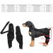 BORDSTRACT Dog Leg Braces for Hind Leg Adjustable Dog Knee Brace for Cruciate Ligament Injury Protecting Wounds Surgery Healing Arthritis Joint Pain and Muscle Sore HJ25 M - Buy Online on GoSupps.com