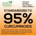 Turmeric Curcumin with BioPerine 2600mg - 180 Capsules - Natural Joint Support - Non-GMO & Gluten Free - Buy Online on GoSupps.com