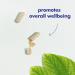Santo Remedio Ginseng for Energy and Immune Support Dietary Supplement 200 mg 90 Capsules - Buy Online on GoSupps.com