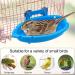 Mygeromon Bird Bath for Cage - Hanging Small Tub for Parrot, Parakeets, Canary, Budgerigar Shower - Blue - Buy Online on GoSupps.com