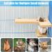 Shop Wangdu 5-Piece Hamster Accessories Set - Natural Wood Toys for Hamsters Guinea Pigs & Mice | DIY Cage Decor & Bird Seating Platform - Buy Online on GoSupps.com