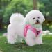 Rose Padded Dog Harness for Small Dogs - Comfortable & Stylish Puppy Harness - Buy Online on GoSupps.com
