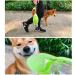 Petsoign Portable Dog Water Bottle - Travel Silicone Drinking Bottle for Outdoor Use (Green) - Buy Online on GoSupps.com