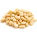 Yupik Organic Pine Nuts 250g Raw Shelled Unsalted Unroasted Oil-Free Gluten-Free Vegan Kosher Source of Iron Creamy Pine Kernels Ideal for Cooking Salads & Pesto - Buy Online on GoSupps.com