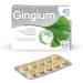 Gingium 40 mg Film-Coated Tablets - 120 pcs | Herbal Solution for Forgetfulness | Well-Tolerated & Effective - Buy Online on GoSupps.com