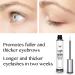 USA Made Natural Lash Growth Serum - Eyebrow & Eyelash Enhancer - Longer Lashes & Brows - 0.17 Fl Oz - Buy Online on GoSupps.com