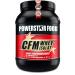 100% CFM WHEY ISOLAT - Whey Protein Willow Isolates with 98% i.Tr. Protein Content, High Quality, Cross-Flow Microfiltered, Made in Germany, 1000g (Vanilla)