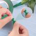 Green Waterproof Floral Tape 1/2 Wide | Adhesive Florist Tape for Bouquet Wrap | 100Ft Roll - Buy Online on GoSupps.com