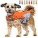 Vivaglory Dog fuses for small and medium-sized dogs easy to take off and undress sporty dog swimming vest with adjustable nylongurten neon-orange M: 56-64 cm (ribcage girth) neon-orange