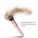 Ajcoflt Foundation Brush Flat Top Buffing Brushes Fan Contour Powder Brush Highlighter Blush Brush Makeup Brushes - Buy Online on GoSupps.com