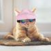 WEBEEDY 2 Sets Dog Hat and Sunglasses Set Summer Sunbonnet Adjustable Stripe Baseball Cap Pet Puppy Sunglasses for Outdoor Use - Buy Online on GoSupps.com