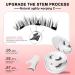 lafo Magnetic-Eyelashes Natural Look 2 Pairs Reusable Magnetic Lashes Kit with Applicator No Glue Needed Natural Magnetic Eyelashes Easy to Wear and Remove 2 Pairs - Buy Online on GoSupps.com