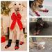 Waterproof Dog Shoes for Medium Dogs | 4-Piece Non-Slip Paw Protection with Adjustable Reflective Velcro - Red & Black - Buy Online on GoSupps.com