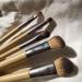 EcoTools Daily Defined Eye Brush Set - 5 Pieces & Storage Tray for Perfect Eye Makeup - Buy Online on GoSupps.com