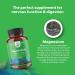 High Absorption Magnesium Complex Supplement - Pure Magnesium Citrate 500mg with Oxide for Sleep, Digestion & Mood Support - 500mg Capsules - Buy Online on GoSupps.com