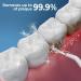 Buy B. WEISS Cordless Water Flosser | 4 Modes Gentle on Gums Rechargeable & Waterproof | Remove Plaque & Food Particles | Includes 6 Tips - International Shipping Available - Buy Online on GoSupps.com