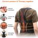 Waist Trainer Back Brace Magnetic Corrector Band Shoulder Back Support Belt Humpback Correction Waist Cincher(XX-Large) XX-Large Black - Buy Online on GoSupps.com