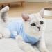 Buy Katzbody Surgical Recovery Suit for Cats | Post-Op Castration & Wound Care | Professional Cat Recovery Suit (Large Blue) - Buy Online on GoSupps.com