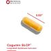 Protocol for Life Balance Curcumin SLCP 400 mg - 50 Veg Capsules for Joint Health & Inflammation Support - Buy Online on GoSupps.com