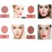 8 Color Blush Palette: Contour, Highlight, Matte, Shimmer - With Blush Brush - Buy Online on GoSupps.com