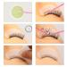EMEDA Eyelash Remover Cream 10g | Gentle & Fast Adhesive Remover for Volume Eyelashes - Buy Online on GoSupps.com