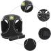 Neuwehe Cat Dishes with Leash Set - Adjustable Soft Cat Bowls with Cat Neck Band for Small Dogs & Big Cats (Black Size S) - Outbreak-Proof & Durable - Buy Online on GoSupps.com