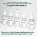 Porsica Ampoule Vegan Facial Serum | Calming Hydrating Repairing | Centella Asiatica 76% | Blemish & Acne-prone Skin Care | Sebum & Pore Minimizing | No-scent | Fine Lines Improvement - Buy Online on GoSupps.com