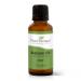 Plant Therapy Balsam Fir Essential Oil 30 mL (1 oz) 100% Pure Undiluted Therapeutic Grade
