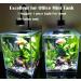 Lominie 30W Freshwater LED Aquarium Light with Remote Control | Dimmable Nano Planted Tank Light - Ideal for Refugium Fish Tank | Clamp Clip-On Design with Bracket A20 - Buy Online on GoSupps.com