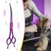 Jason Profi Curved Dog Scissors - 7.5 Japanese Stainless Steel Pet Fur Care Scissors (Purple) for Professional Grooming - Buy Online on GoSupps.com