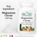 New Life Magnesium Citrate 400mg Nervous Support 120 Veg Capsules 60 Capsules - Buy Online on GoSupps.com