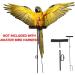 Buy Mifive Adjustable Pet Bird Dishes & Leash - Anti-Bite Training Rope for Parrots | International Shipping Available - Buy Online on GoSupps.com