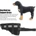 Dog Hind Leg Brace Stable Support Knee Pads Puppy Rear Leg Protector Dog Rear Leg Hock Brace Dog Leg Joint Wraps Dog Hind Leg Brace for Sprain Leg Wounds Care (M) - Buy Online on GoSupps.com