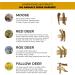 RF - Deer | Natural Deer Antler for Dogs | Long Lasting Chew Treat | Enjoyment and Dental care for your dog | HARD | 1 pcs | XXL | 161-200 g | 19-21 cm 2XL (Pack of 1) HARD - Buy Online on GoSupps.com