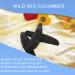 DOL Wild Caught Sun Dried Atlantic Black Pin Sea Cucumber 8oz - All Natural Nutritious, Large Size - 1 Count - Buy Online on GoSupps.com