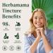 HERBAMAMA Saw Palmetto Tincture - Vegan Men's Urinary Tract Support with Saw Palmetto Extract Drops - Non-GMO, Alcohol & Sugar-Free Serenoa Repens Berries Supplement, 84-Day Supply 2 Fl Oz (Pack of 1) - Buy Online on GoSupps.com