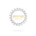 Original Papanga Spiral Hair Tie - Elegance Edition - Small - Elegant Silver - Best for All Hair Types - International Shipping - Buy Online on GoSupps.com