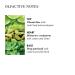 Molton Brown Lime & Patchouli Hand Wash - 10 Fl Oz (Pack of 1) - Buy Online on GoSupps.com