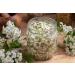 Health Embassy Hawthorn Flower Tea (Crataegus L.) - 50g | Premium Herbal Tea for Heart Health | International Shipping Available - Buy Online on GoSupps.com