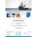 Buy Arctic Blue Fisch l Capsules with Vitamin D - High Dose 550mg DHA & 275mg EPA | MSC Certified Sustainable Alaska Oil - Buy Online on GoSupps.com
