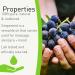 SENSOLI Grapeseed Oil 1L - Natural Unscented Moisturising Oil for Hair and Skin Care - Buy Online on GoSupps.com