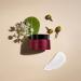 AHAVA Apple of Sodom Deep Wrinkle Cream - Firming & Smoothing Anti-Aging Formula with Osmoter & ATPeptide - 1.7 Fl.Oz - Buy Online on GoSupps.com