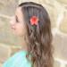 Flower Clips | Hawaiian Flower Cute Hair Clip Strong Hold Hair Clips Flower Fashionable Hair Accessories For Thick Thin Hair Women Girlsl Gradient watermelon red - Buy Online on GoSupps.com
