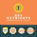 Key Nutrients Electrolytes Sachets - Tropical Peach Mango Hydration Powder with 16 Vitamins & Minerals - 20 Servings - Buy Online on GoSupps.com