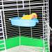 Portable Bird Bath with Mirror for Small Parakeet Cage - Large Parrot Fountain Accessories for Lovebird, Finch, Budgie, Canary - Buy Online on GoSupps.com