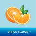 Chloraseptic Throat Spray (Citrus) - Soothe Sore Throats Instantly - Buy Online on GoSupps.com