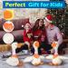 Dancing Goose Talking Toy - Mimicking, Recording, and Singing English Songs | Animated & Glowing Musical Plush Baby Toy Gift for Kids - Buy Online on GoSupps.com