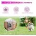 Fonpoo Interactive Dog Toys Set - 10 Natural Cotton Puppy Toys for Teeth Brushing | Perfect for Small & Medium Dogs - Red Frisbee Included - Buy Online on GoSupps.com