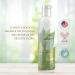 EUDINE pH Balancing Feminine Care Body Wash 6.7Fl Oz with Chamomile & Aloe Vera - Gentle Intimate Wash for Daily Freshness - Women & Men - Pack of 1 - Buy Online on GoSupps.com