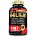 Shilajit Supplement with Ashwagandha Root Panax Ginseng L-Arginine Chaga & More - Shilajit Pure Himalayan Organic - Immune System Energy Production Stamina & Comfortable Mood - 60 Capsules 60 Count (Pack of 1)